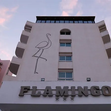 Flamingo מלון 3*
