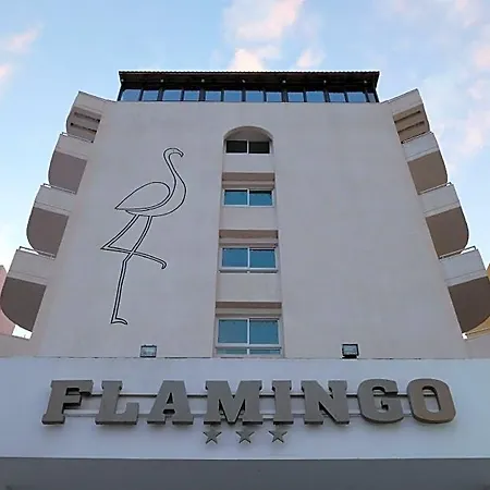 Hotel Flamingo 3*
