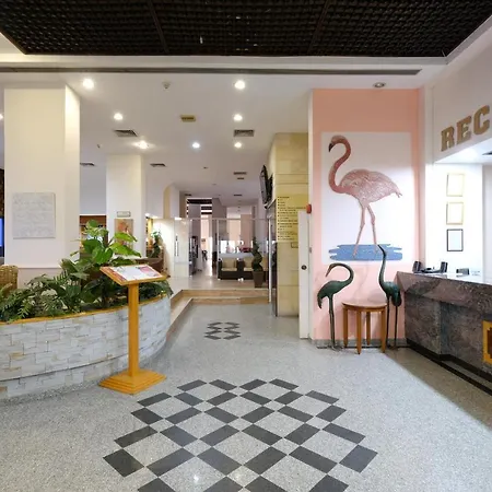Flamingo 3* Larnaca