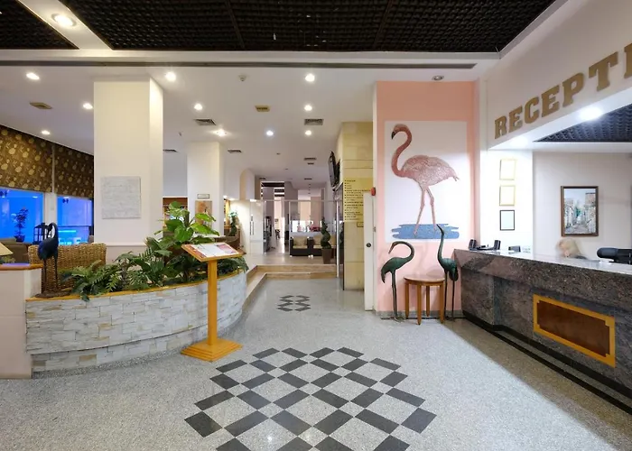 Flamingo 3* Lárnaka